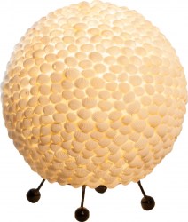 25833_a