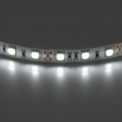 400054_2500