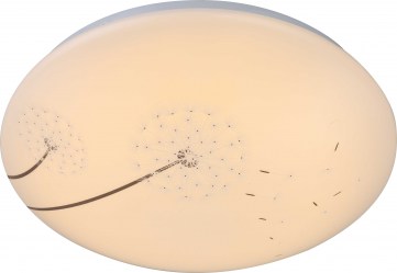 41592_a